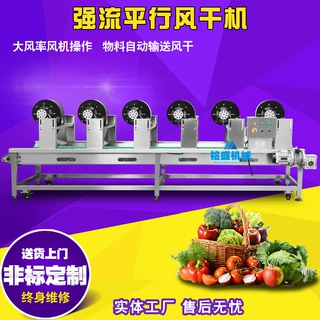 厨房新品款炮弹芋风干机 广西香芋风干线 全自动里芋沥水风干设备