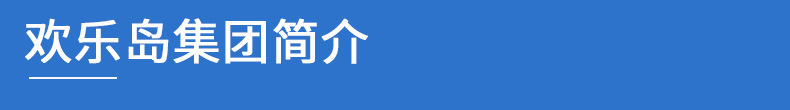 欢乐岛公司简介