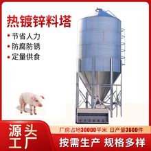豬場自動上料系統喂料養殖設備料罐雞舍飼料廠用料塔熱鍍鋅料塔