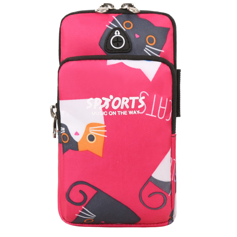 로즈 레드 고양이