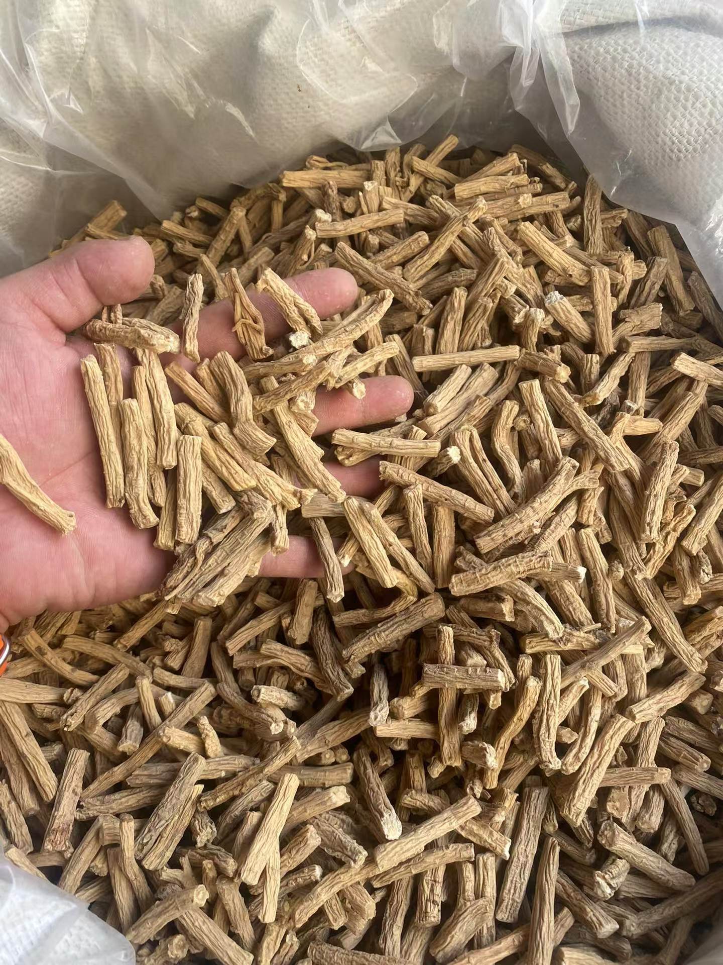 Dried Codonopsis Root Segments Gansu Minxian Dangshen for Herbal Soup quality and texture