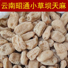 昭通小草坝天麻云南昭通天麻干货正品非野中药材天麻片磨天麻粉