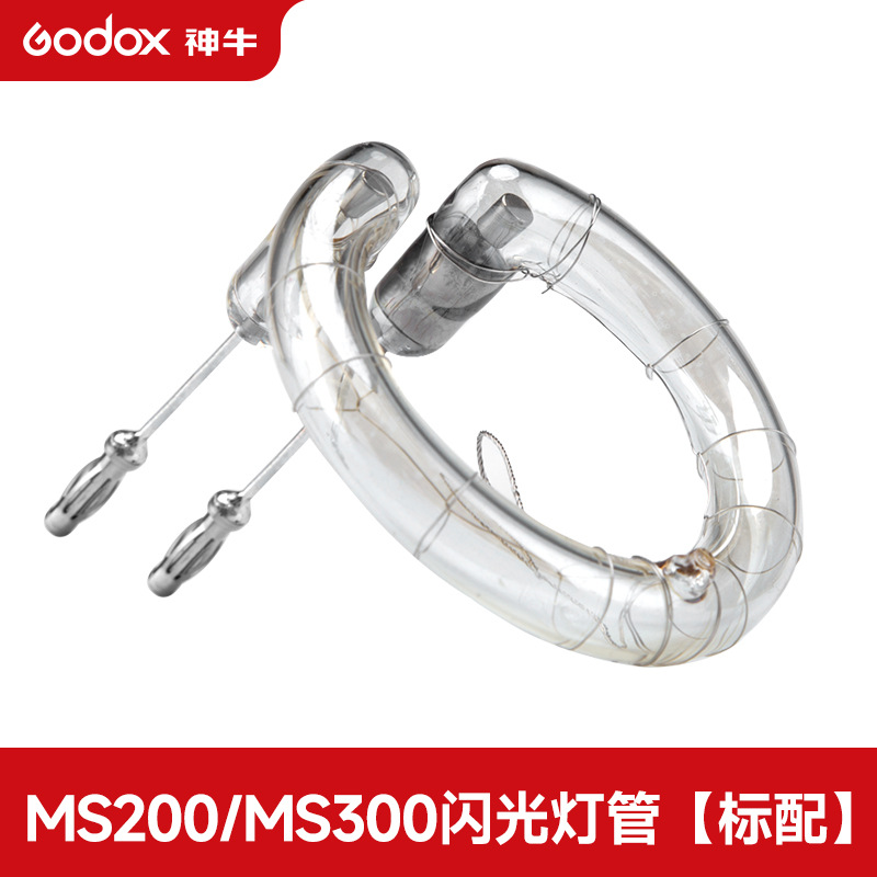 Ms200