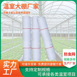 防虫网蔬菜大棚果树果园纱网养殖场猪场防蚊网加密加厚保护网批发