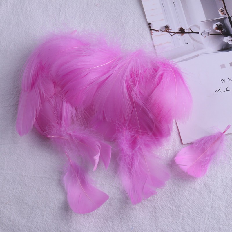 퍼플 레드 (100 루트 배치)