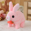 Pink carrot rabbit