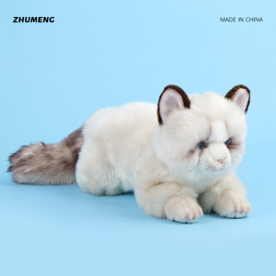 ���R�d�羳��ܛ؈���ޱ�����ż������N�¿�ɐ۲�ż؈ë�q���