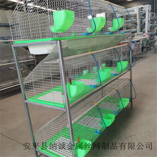 �����Ӵּ��ܟ���û\3��9λ12λ��Ʒ�û\��ĸ�û\�Bֳ�N�û\��