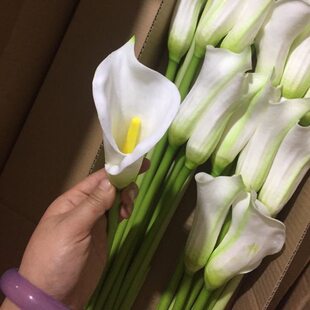 Polyurethane big calla lilies, artificial flowers for living room