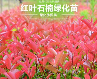 һ�����l�t�~ʯ������ߗU�������С��ͥԺ�@�־G���繤������