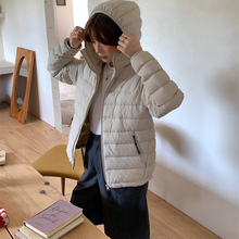 2025ﶬ¿ŹpqŮneBñq