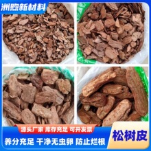 现货供应松树皮有机覆盖物发酵松鳞抛光景观绿化铺面庭园造景木丝