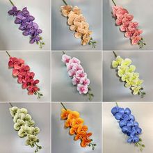 ��c����廨��ɫ�����m���b�Y������·�����Q������Y�؂�