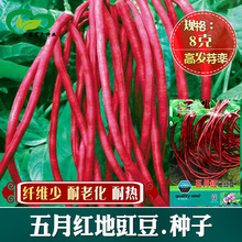 ���¼t�ض����o�ܶ��ǷN�� �r��ˈ@����w�S���۴�t�����߲���