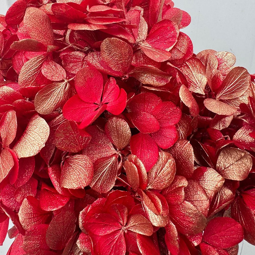 ✅ Flores secas flores eternas hortenida color gradiente material hecho a mano bolsa de calzado de boda cubierta de vidrio grupo de construcción de flores actividades