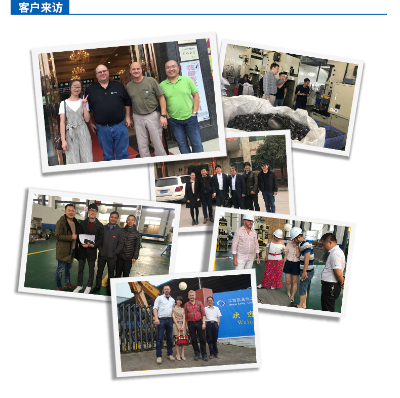 陶瓷鲍尔环PC_10