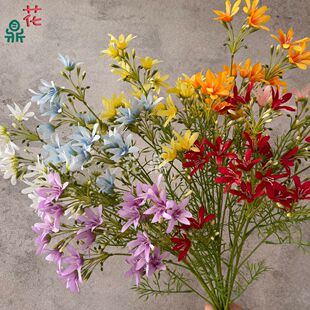 �m�� ����7���m��  �Ӱ巿ܛ�b��c�Ҿ��b�ܛ�b��ˇ�쾰������