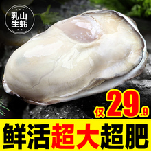 乳山生蚝鲜活10新鲜特大海蛎子5斤带箱海鲜牡蛎水产整箱商用批发