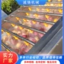 平行自动果蔬毛辊清洗机
