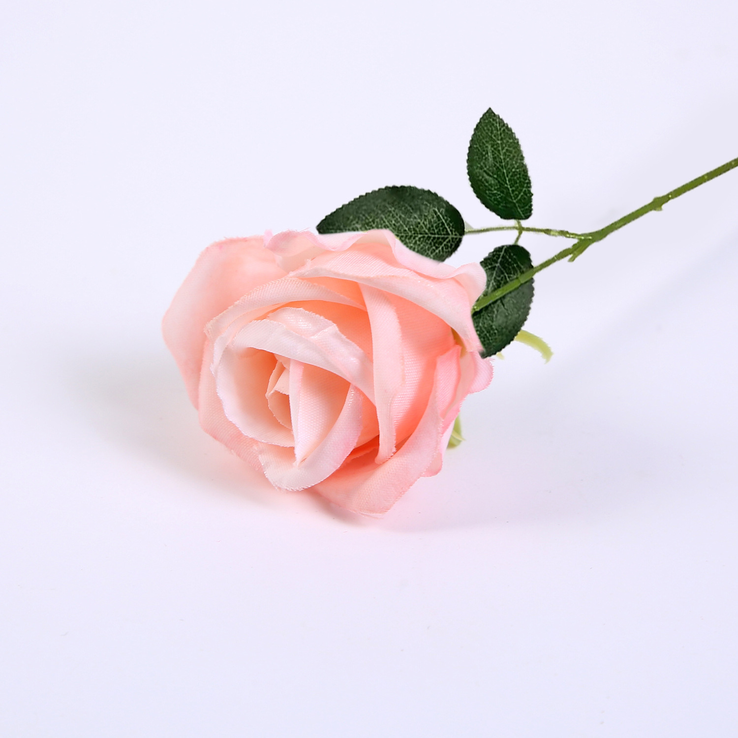 샴페인 핑크 9호 + 잎이 달린 24cm 꽃줄기