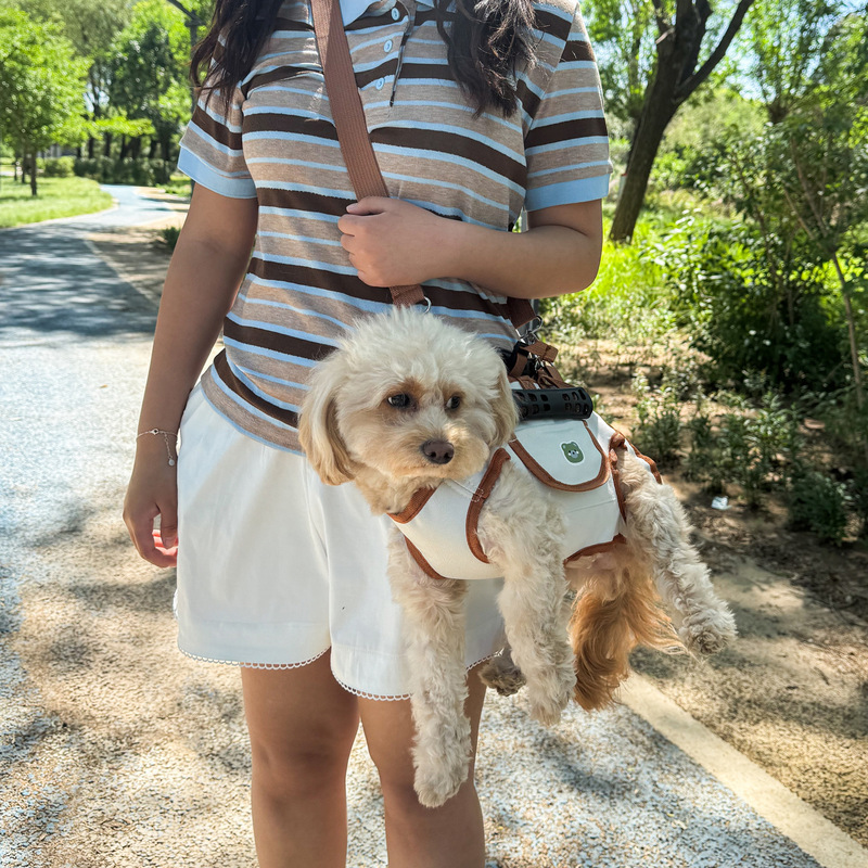 小型犬・中型犬用犬用リード、持ち運び可能なペットハーネス、ベストセット、テディビションペット服、クロスボーダー|undefined