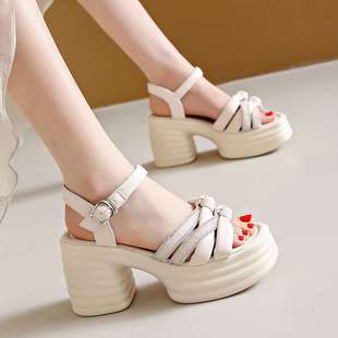 Foreign Trade Fairy Style Thick Heel High Heel Small Roman Sandals for Women with Skirts for Summer Outer Wear New Style
