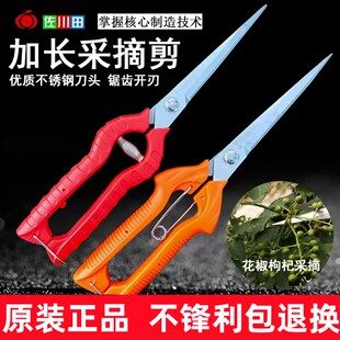 ������ϡ�����ɹ��������軨���޻���֦�������ӻ�����ժժ������