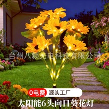 2025�羳�¿�̫���6�^���տ�����ƺ���@�Շ����������ͥԺ��