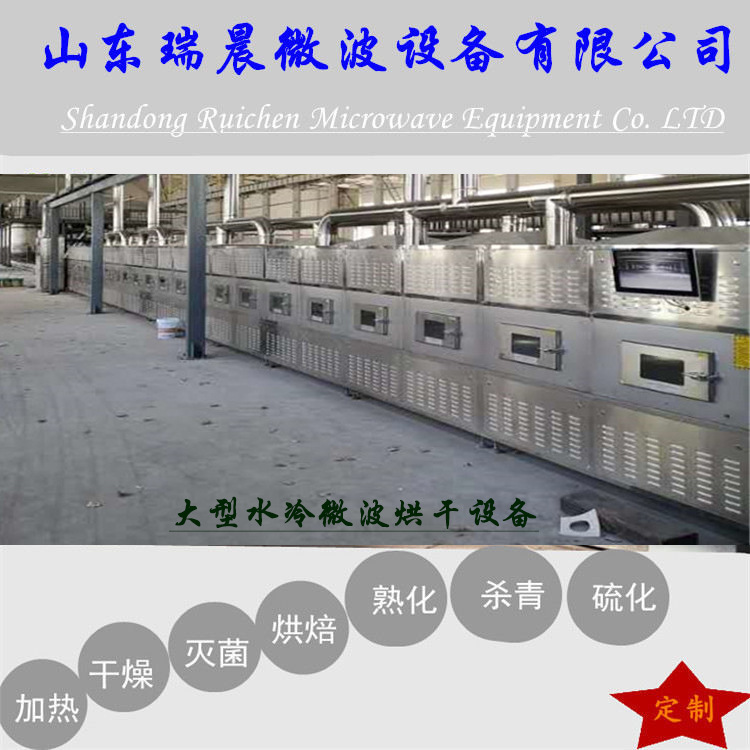 大型微波干燥設備1