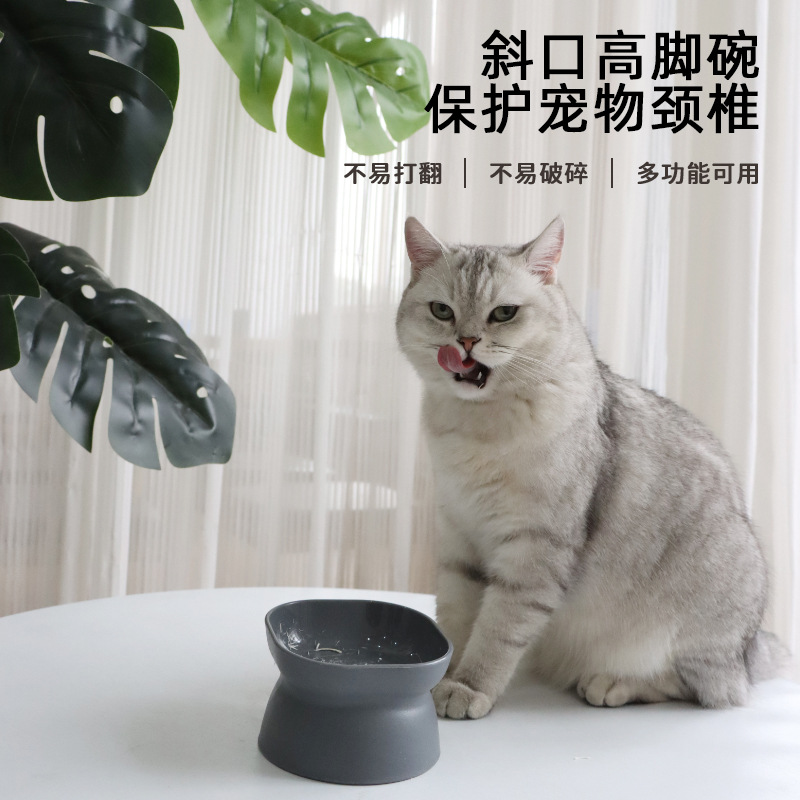 乐优派大开口高脚塑料猫碗经典护颈防打翻猫狗宠物食具工厂直销