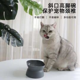 乐优派工厂直销大开口高脚塑料猫碗经典护颈防打翻猫狗宠物食具