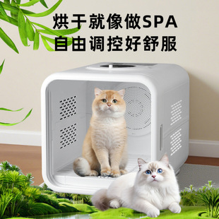 �����əC����С��ϴ�茙��ϴ��һ�wȫ�Ԅ��o����ë���ú������