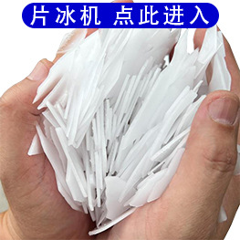 片263