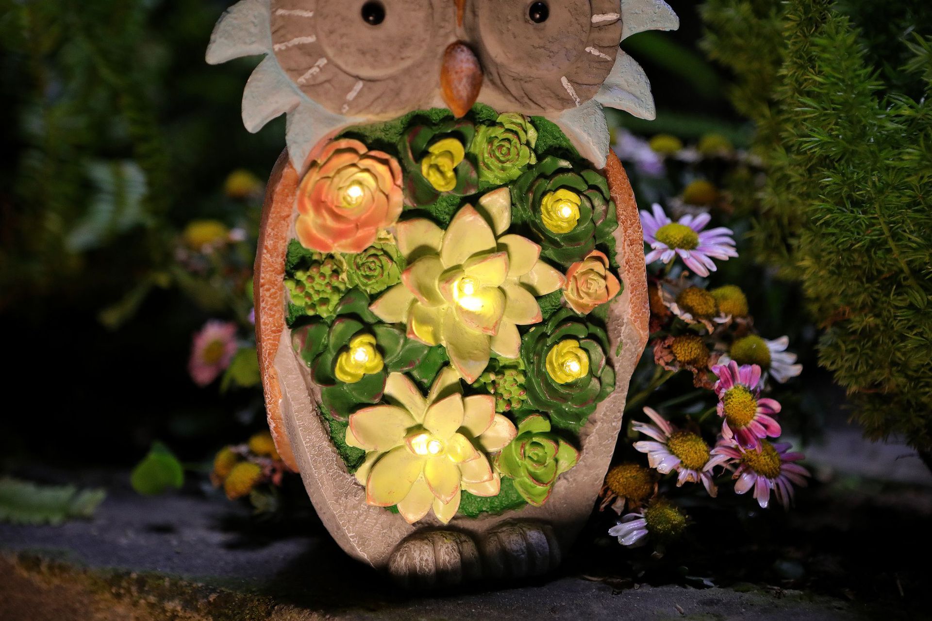 猫头鹰详情图 (6).jpg