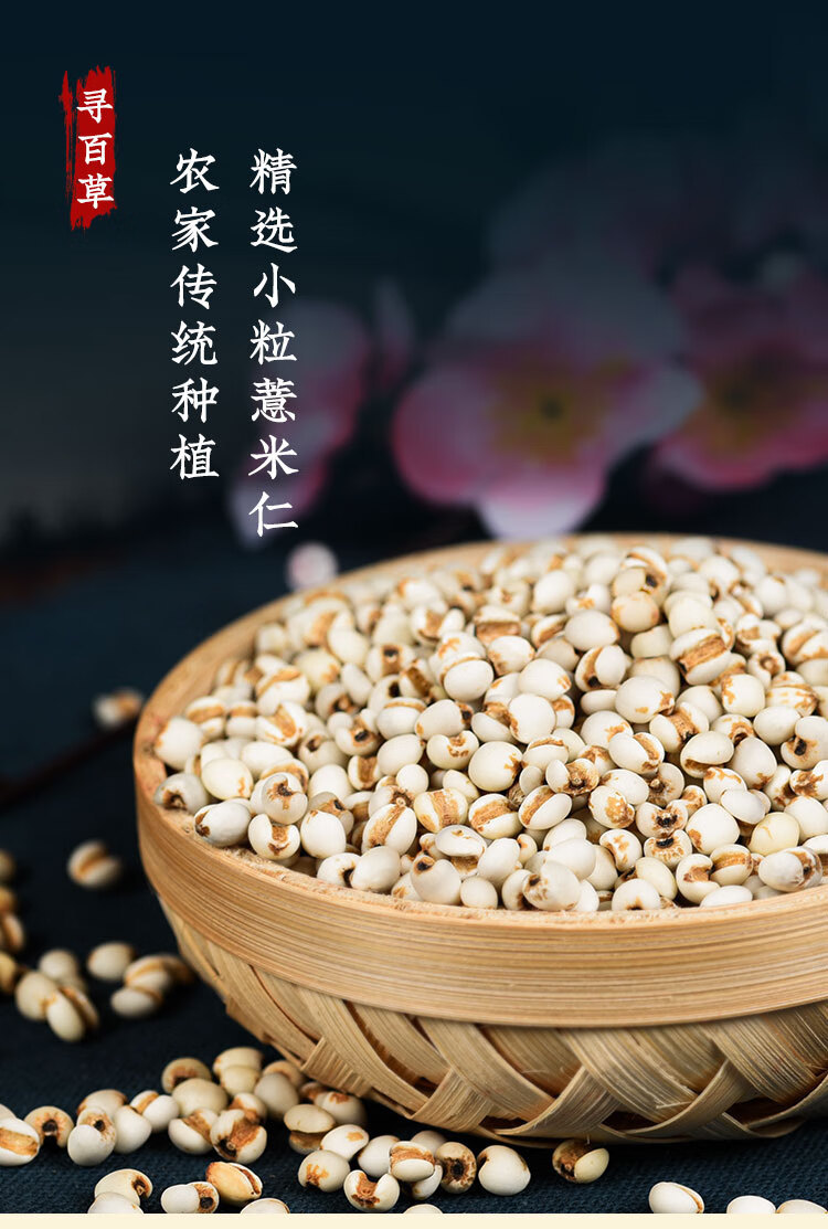 Coix Seed Yi Yi Ren 薏苡仁 500g Dried Job's Tears Whole Grains for Soup Congee and Herbal Tea in use