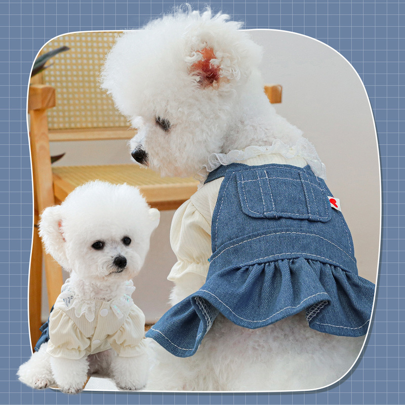 Pet ring dog cat clothes pocket skirt collection Denim flower small dog small red flower strap dress