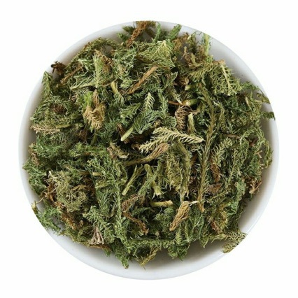 Shen Jin Cao (Lycopodium clavatum) — Dried Herbal Stems for Traditional Decoctions & Soaks in use