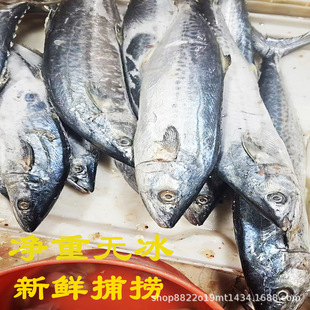 ��Sֱ�l�����R�o�~�~���r����R�o�~�����S�����E�~���l�����R�o