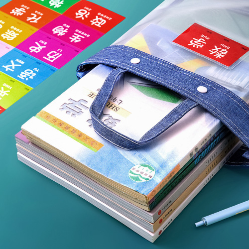 Factory direct sales portable document bag tutoring book homework bag a4 mesh subject classification information test paper storage