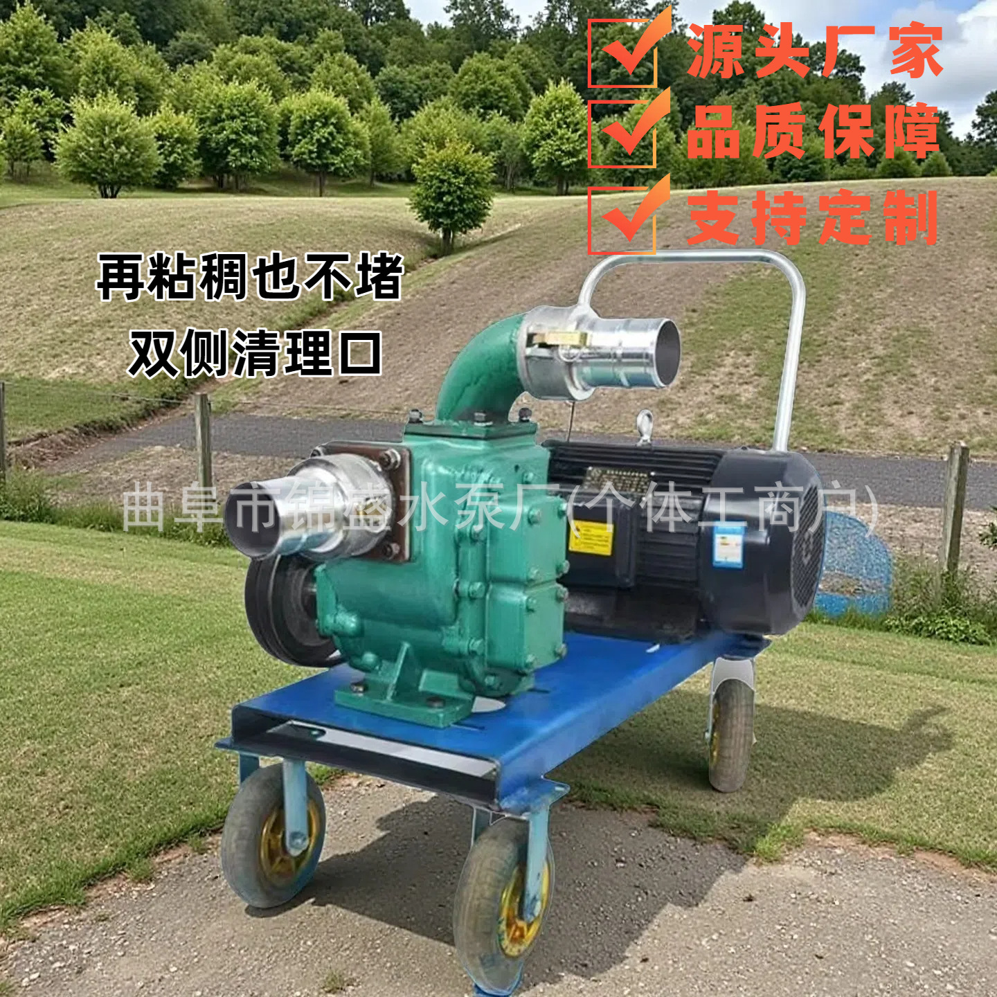 无堵塞养殖场猪牛粪厕所专业抽粪泵鱼塘清淤泥3寸排污泵