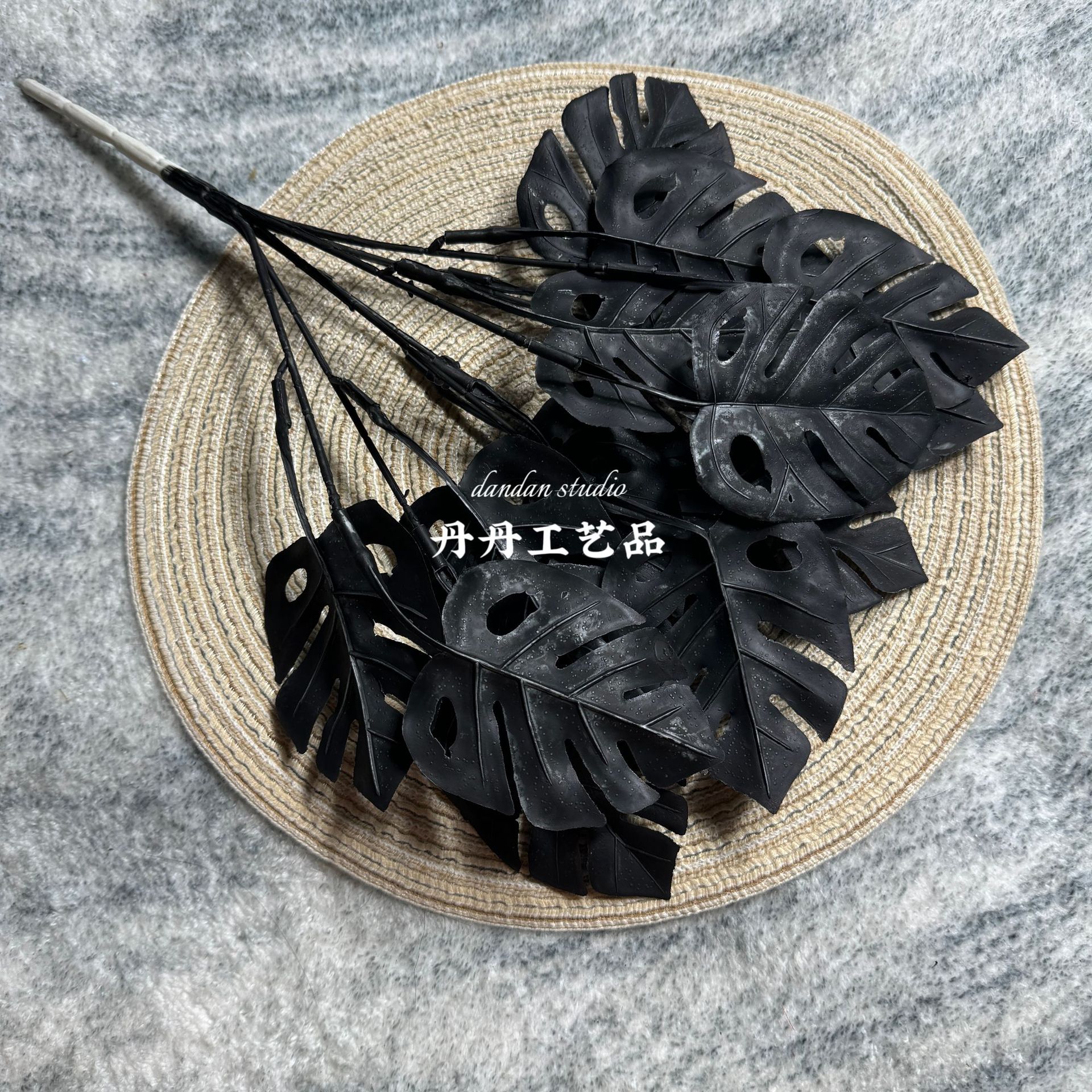 거북잎