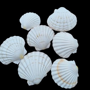 ��ɫ��̖��ؐ���ֹ�diy���L�׃��@�ֹ���ˇƷ�î�����ؐ��