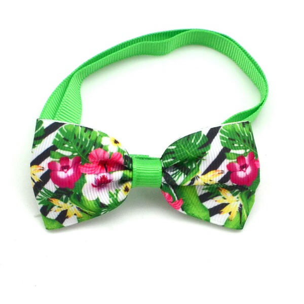 Tropical Rain Forest Shawai Wind Pet Terring Pet Bow Dogs and Cat…