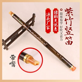 吹奏类乐器;乐器配件;拉弦类乐器