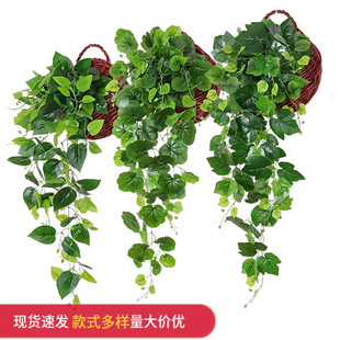 �ش��^�z�G�}�҃����b��ٗl�����~���҃ȱڒ�Gֲ�젝���m�ړ�