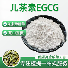 儿茶素 绿茶提取物 EGCG表没食子儿茶素EC表儿茶素茶多酚原料厂家