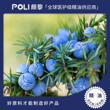 �����M�ڶ�����/ݮ/�{������ �H��S���M����Ȼ������޹ԭ�����l