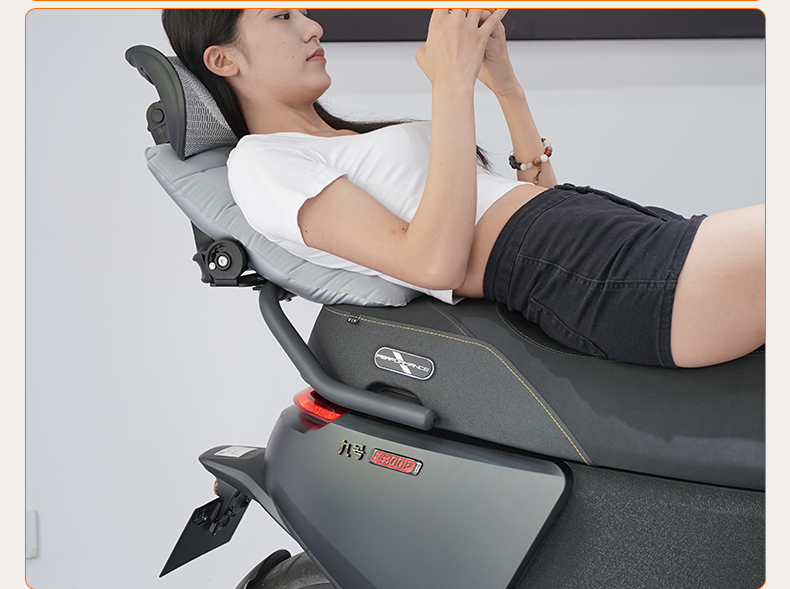 Tingfeng Shiguang T2 No.9 E300 Q85C M5 MZ M95C N70C Mechanic Electric Vehicle Lumbar Support Backrest