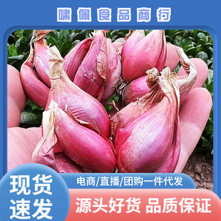 �Nֲ�����Ĵ�С���[�t�[�^��ѿ���Ի��[�S�[�ļ��[��ե�[�͸��[�^