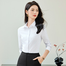 2025�＾�¿�ͨ��ְҵ�����������OL���淭����°���칫������
